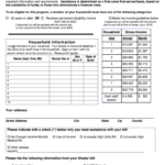 American Red Cross Project Deserve Application Fill And Sign