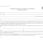 Form RV F1320101 Download Printable PDF Or Fill Online Tennessee Sales